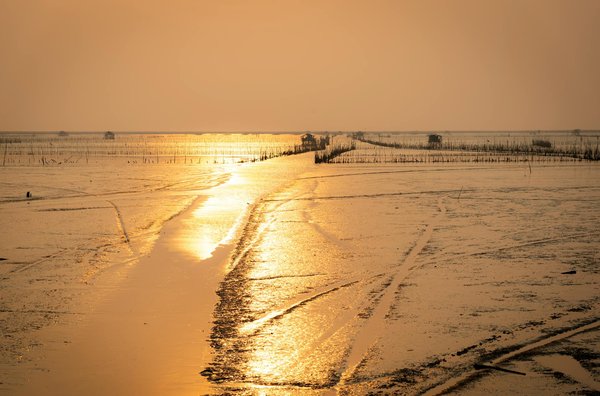 Photographe mariage au Pays Basque : immortalisez vos moments magiques