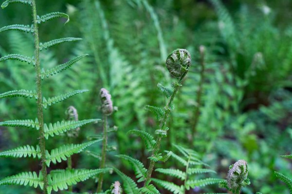 Comment trouver une ferme en Toscane avec stage de sculpture sur marbre de Carrare?